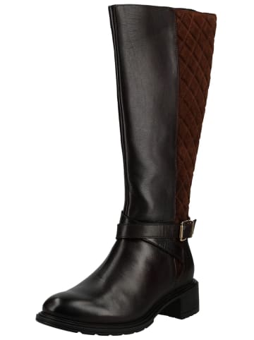 ara Stiefel PARKER-St.2.0 in Dunkelbraun