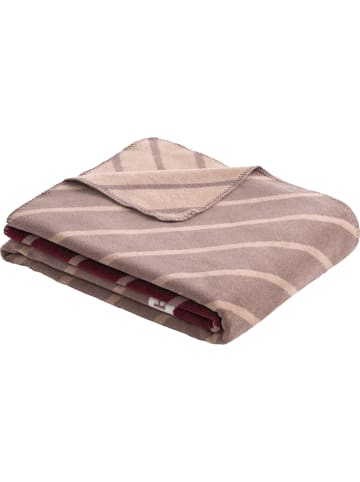 Bugatti Jacquard, Baumwollmischung Wohndecke in bordeaux/beige