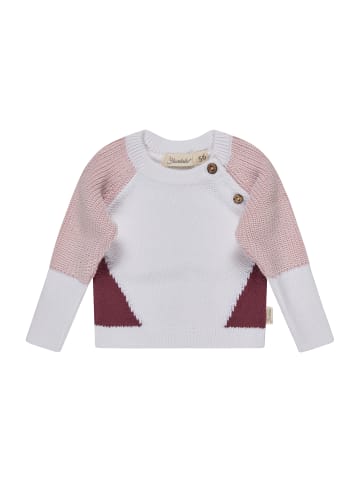 Sterntaler Strickpullover colorblocking in rose