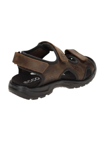 Ecco Trekkingsandalen in Braun
