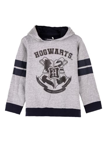 Harry Potter Harry Potter Hoody Kapuzenpullover in grau