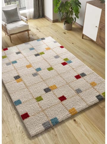 Atticgo Hochflor-Teppich BREMEN in mehrfarbig