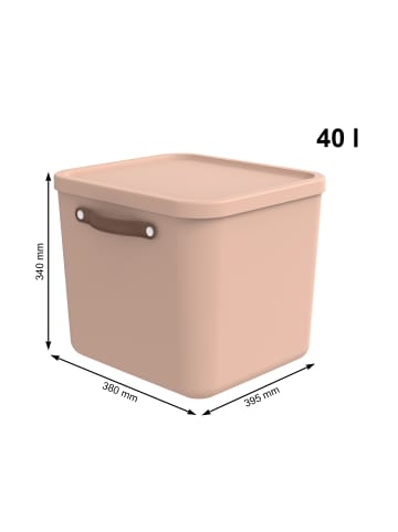 Rotho 2er-Set Aufbewahrungskiste 40l in Meadow rose