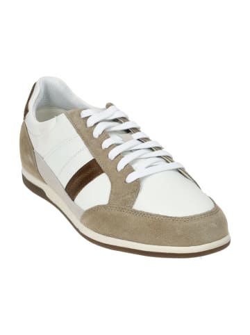 Geox Sportliche Schnürschuhe in Weiß