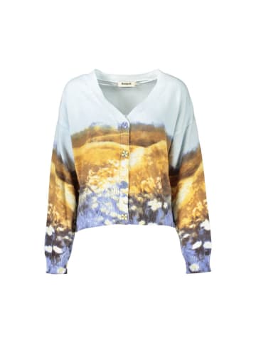 Desigual Blau Damen Pullover aus Baumwolle
