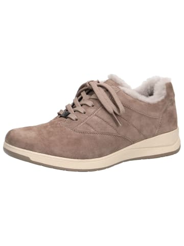 Caprice Sneaker in STONE SUEDE