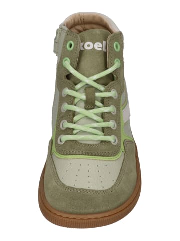 KOEL Sneaker High DANISH NAPPA in bunt
