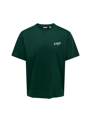 Only&Sons T-Shirt 'Fred Life' in grün