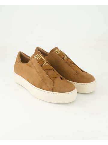 Paul Green Sneaker low in Braun