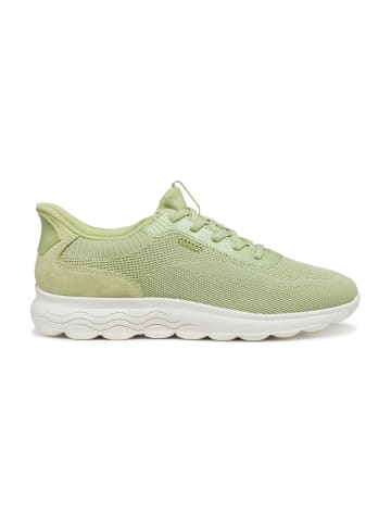 Geox Sportliche Schnürschuhe in Grün