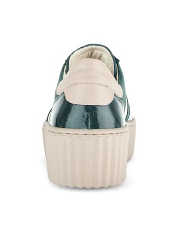 Gabor Sportliche Schnürschuhe in Grün