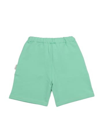 Walkiddy Shorts Light Grass Green-Shorts