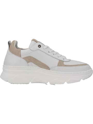 palado Schnürschuhe in White/Beige