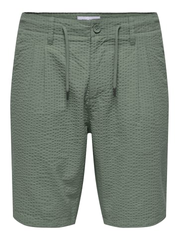 Only&Sons Shorts 'Leo' in dunkelgrau