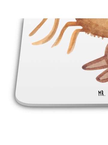 Mr. & Mrs. Panda Tischuntersetzer Spinne Agathe Teddy ohne Spruch in Weiß