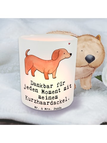 Mr. & Mrs. Panda Windlicht Dackel Kurzhaardackel Moment mit Spruch in Transparent