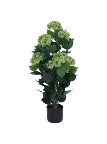 MCW Künstliche Hortensie Q86, Grün