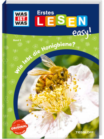Tessloff Buch - WAS IST WAS Erstes Lesen easy! Band 3. Wie lebt die Honigbiene?