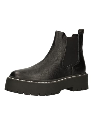 Steve Madden Stiefelette in Schwarz