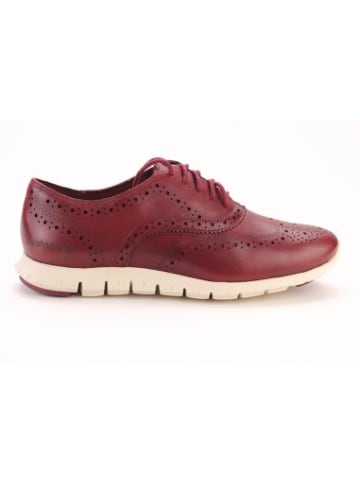 Cole Haan Schuhe D44521 in Granat