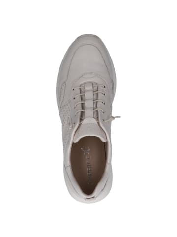 Caprice Sneaker in VANILLA NAPPA