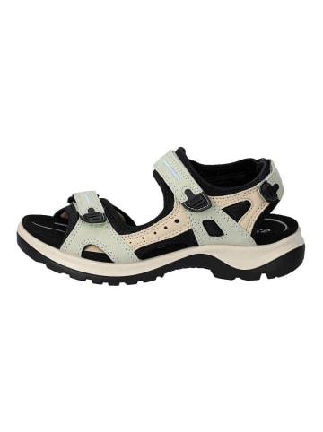 Ecco Outdoorsandalen Offroad in matcha/sand