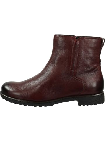 ara Stiefeletten für Damen in uni