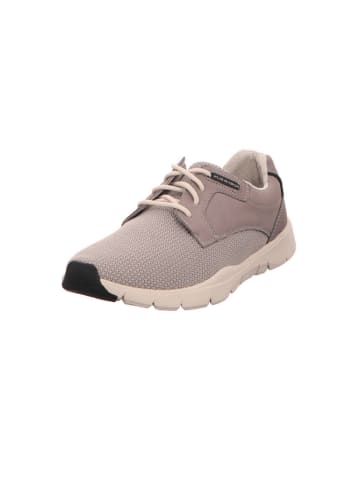 Pius Gabor Sneaker Low in grau