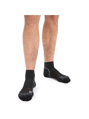 icebreaker Socken Hike+ Light Mini in Dunkelgrau