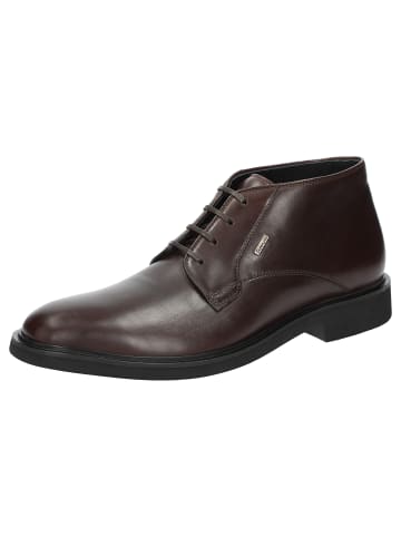 Sioux Stiefelette Nazareno-701-TEX in braun