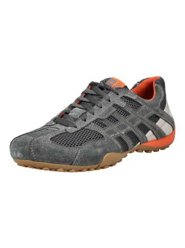 Geox Sneaker in Grau