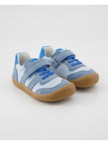 KOEL Barfußschuhe in Blau