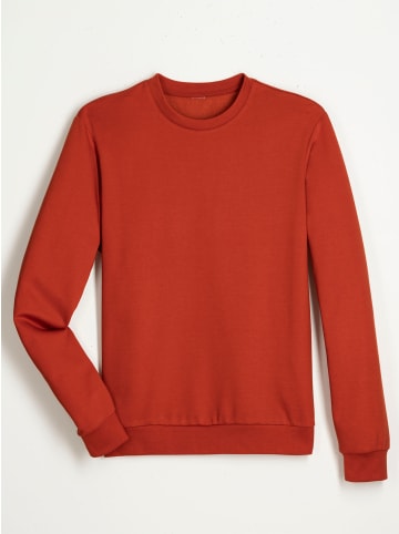 Sieh an! Sweatshirt in rostrot