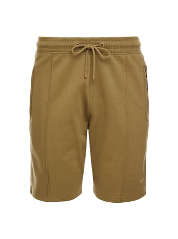 Threadbare Sweatshorts THBWhyte in Grau