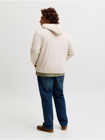 JACK & JONES PLUS Kapuzenpullover in Moonbeam