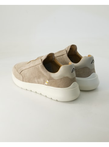 Ambitious Slip On Sneaker in Beige
