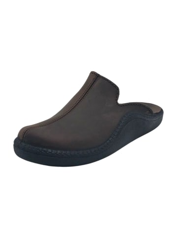 WESTLAND Clogs in Braun
