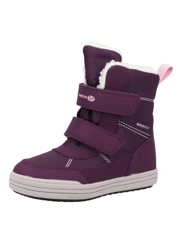 Geox Stiefel in Purple