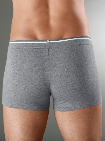 WITT WEIDEN Pants in grau-meliert