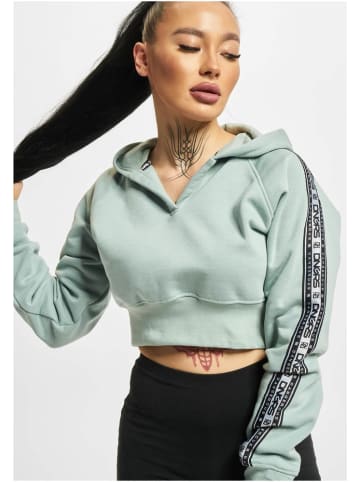 DNGRS Dangerous Hoodie "Cumulus Hoody" in Grau