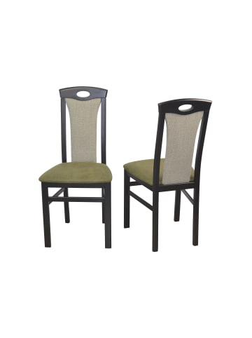 möbel-direkt Esszimmerstuhl, Massivholzstuhl (2 Stück) Zac in schwarz / grün