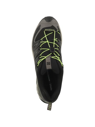 SALOMON Laufschuhe XA PRO 3D V9 in dunkelgrau