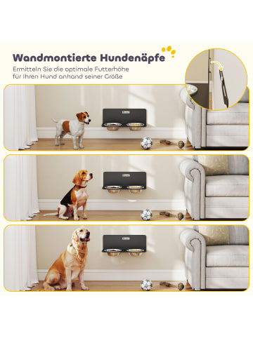 Pawhut Erhöhter Hundenapf Schwarz