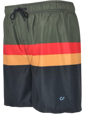 Cruz Badeshorts Indy in Print 8631