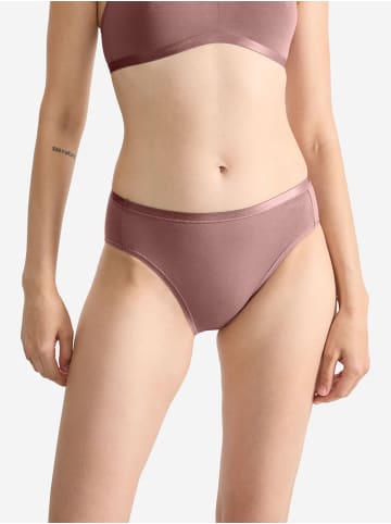 Sloggi Tai-Slip GO Daily Cotton Tai in CACAO