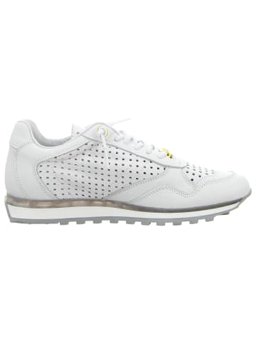 Cetti Sneaker in weiß