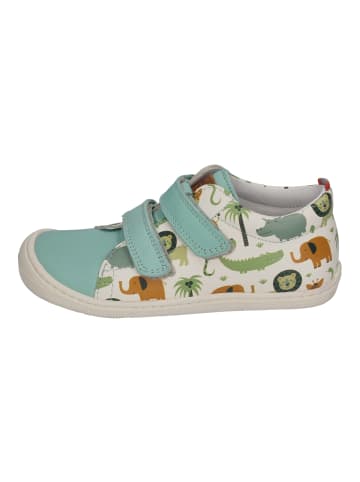 KOEL Sneaker Low DANNY PRINT  in bunt