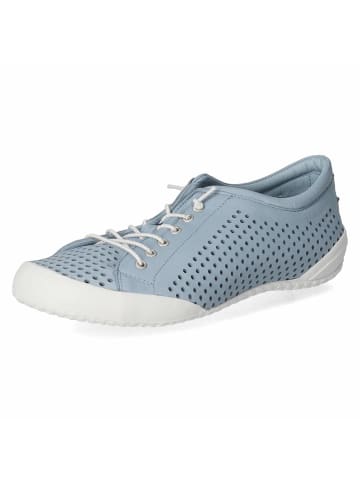 Andrea Conti Schnürschuhe in blau