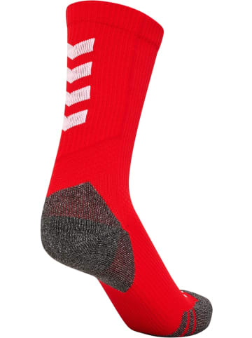 Hummel Sportsocken "Hmlpro Training Socks Low" in Rot