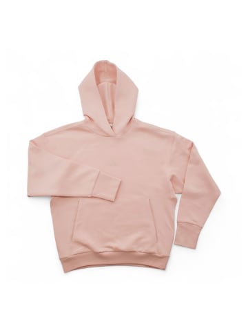 adidas Hoodie All Szn Ft Hooded in Rosa XS